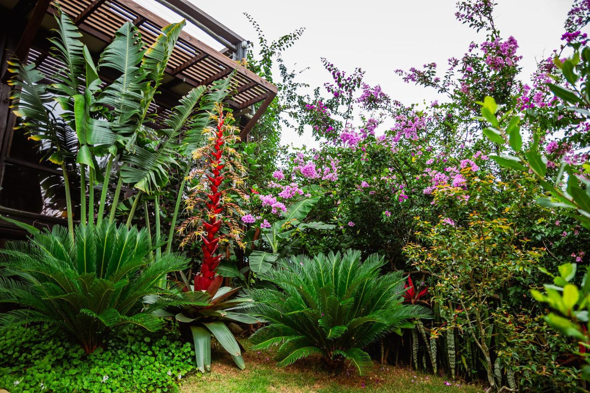 Ibiraquera Life Villa Praia do Rosa Luaran gambar